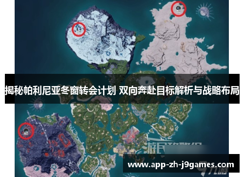 揭秘帕利尼亚冬窗转会计划 双向奔赴目标解析与战略布局